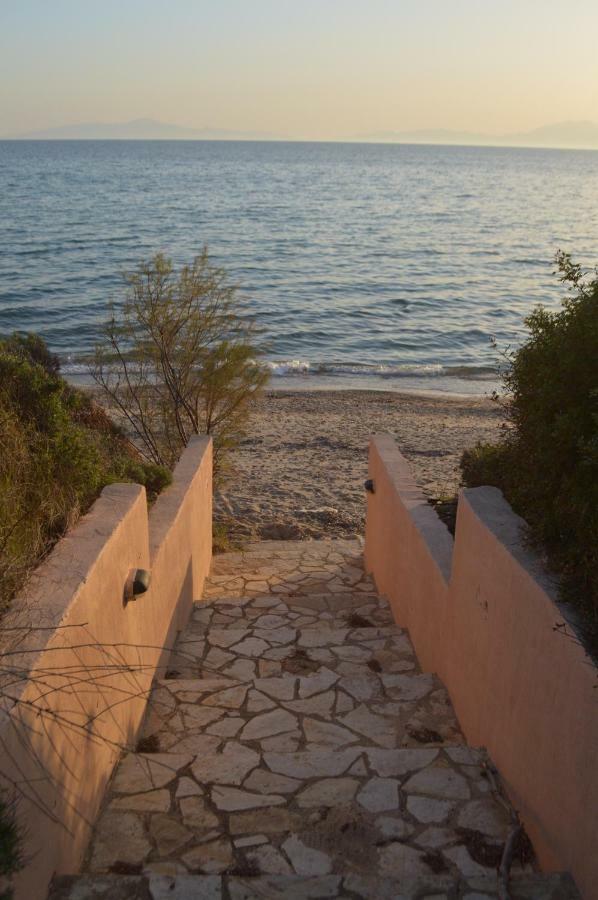 M Varkes Villa نيا موذانيا المظهر الخارجي الصورة