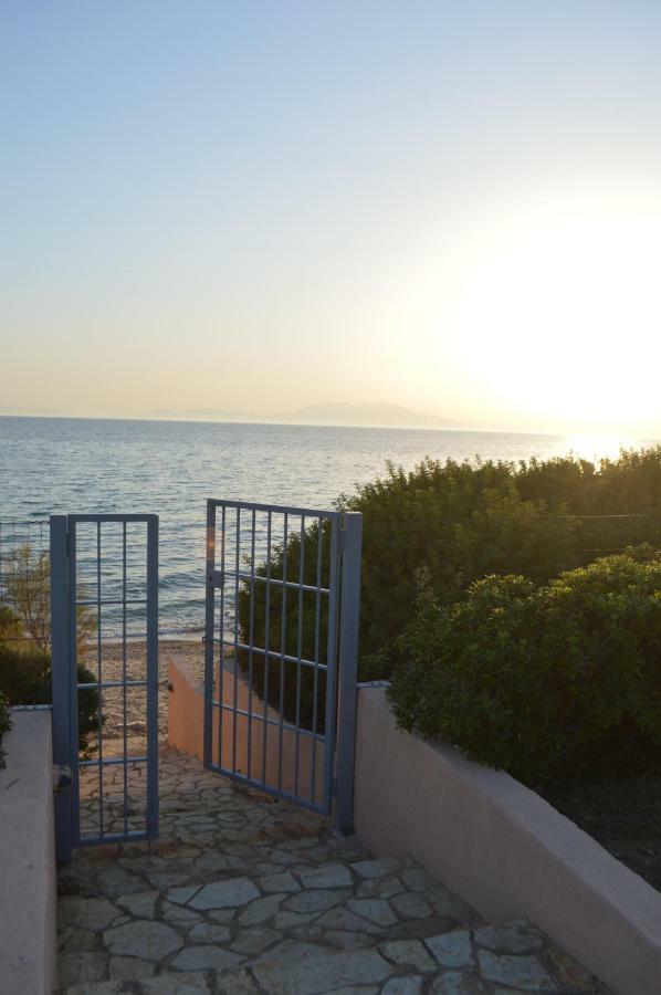 M Varkes Villa نيا موذانيا المظهر الخارجي الصورة
